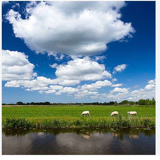 Exploring Climate Research Initiatives at the Royal Netherlands Meteorological Institute