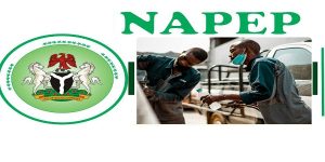 NAPEP Application Grant and Training Program 2025