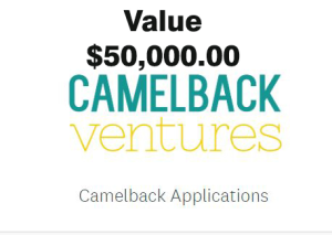 Camelback Fellowship Application