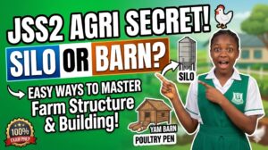 farm structure and building for JSS2