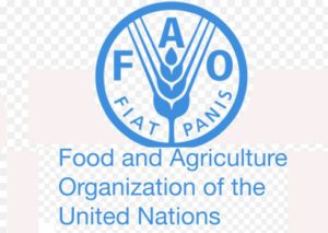 FAO Young Professionals Programme 2026